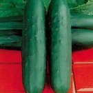 Fresh 25 Seeds Dasher Ii Cucumbers Hybrid 55-60 Garden