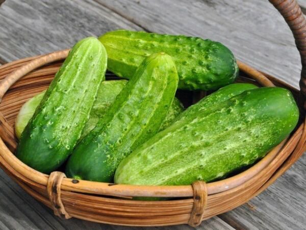 Fresh 25 Seeds Pickling Cucumbers National Pickling Cucks Vegetable Planting Garden