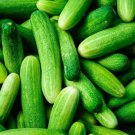 Fresh 25 Seeds Arkansas Cucumbers Grow Vegetables Easy Harvest 52 Garden