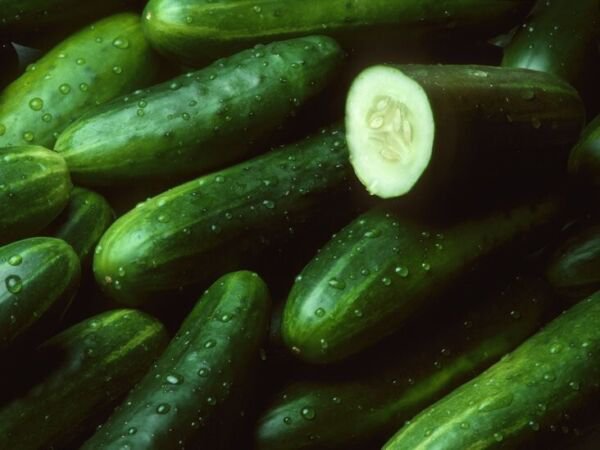 Fresh 25 Seeds Delaware Cucumbers Crunchy Crisp Cucks Vegetable Planting Pickl Garden