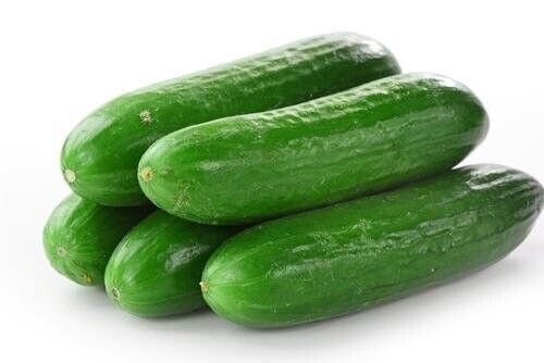 Fresh 25 Seeds West Virginia Cucumbers Planting Vegetable Canning Cucks Crispy Garden