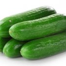 Fresh 25 Seeds West Virginia Cucumbers Planting Vegetable Canning Cucks Crispy Garden