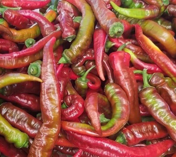 Fresh 25 Seeds Sweet Nardello'S Peppers Edible Planting Vegetable Garden