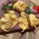Fresh 25 Seeds Peach Ghost Scorpion Peppers Edible Planting Vegetable Garden
