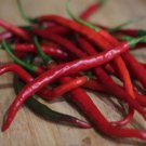 Fresh 25 Seeds Gong Bao Peppers Edible Planting Vegetable Garden
