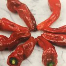 Fresh 25 Seeds Melrose Peppers Heirloom Edible Planting Vegetable Garden