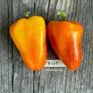 Fresh 25 Seeds Blot Heirloom Sweet Peppers Heirloom Vegetable Garden