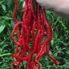 Fresh 25 Seeds Thunder Mountain Longhorn Peppers Cayenne Heirloom Vegetable Garden