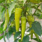 Fresh 25 Seeds Sweet Banana Peppers - Seeds - Organic & Non Gmo - Heirloom Vegetables Garden