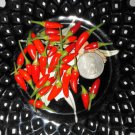 Fresh 25 Seeds Siling Labuyo Chili Pepper - Rare Filipino Seeds Hot Food Garden