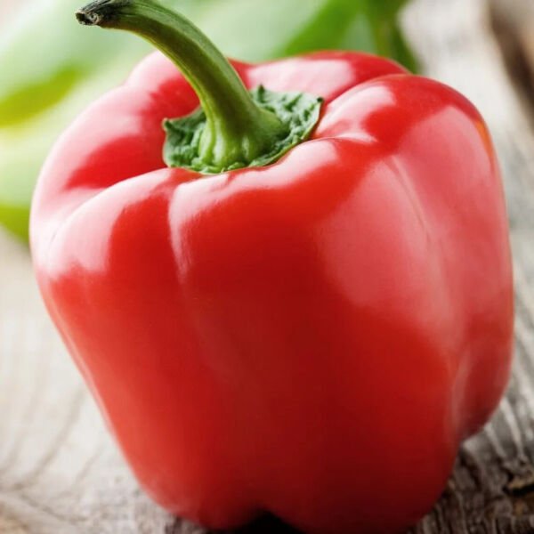 Fresh 25 Seeds Sweet Red Pepper Organic - Heirloom Open Pollinated Edible Vegetable Garden