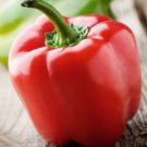 Fresh 25 Seeds Sweet Red Pepper Organic - Heirloom Open Pollinated Edible Vegetable Garden