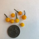 Fresh 25 Seeds Aji Charapita Peppers Planting Edible Vegetable Food Spicy Hot Garden