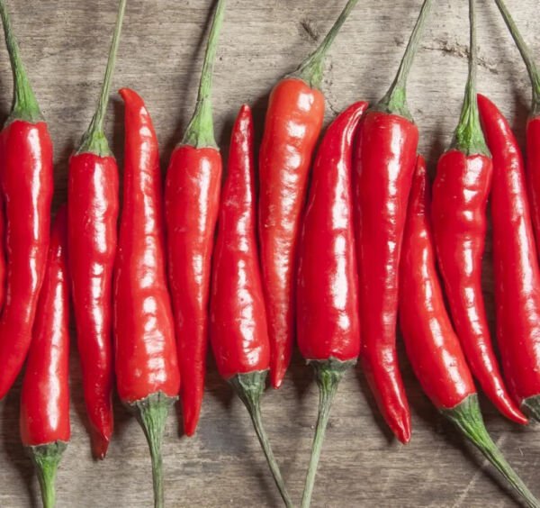 Fresh 25 Seeds Cayenne Pepper Organic Thick Seeds Red Hot Vegetable Edible Garden