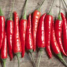 Fresh 25 Seeds Cayenne Pepper Organic Thick Seeds Red Hot Vegetable Edible Garden