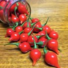 Fresh 25 Seeds Biquinho Red Pepper Heirloom Seeds - Capsicum Chinense Var. Pimenta Garden