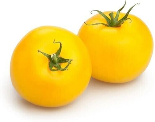 Fresh 50 Seeds Sunny Boy Tomato Seeds For Planting Yellow Tomatoes Garden