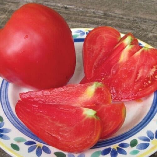 Fresh 50 Seeds Anna Aasa Tomato Planting Tomatoes Garden