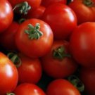 Fresh 50 Seeds Argentina Cherry Tomato Planting Tomatoes Garden