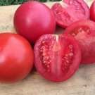 Fresh 50 Seeds Arkansas Traveler Tomato Planting Tomatoes Garden