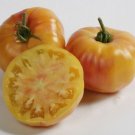Fresh 50 Seeds Armenian Tomato Planting Tomatoes Food Garden