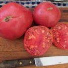 Fresh 50 Seeds Aunt Ginny'S Tomato Planting Tomatoes Food Garden