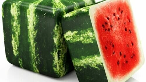 Fresh 15 Seeds Square Watermelon Large Summer Time Planting Fruit Garden