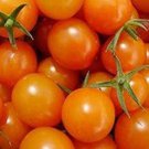 Fresh 50 Seeds Amarillo Tomato Planting Tomatoes Garden