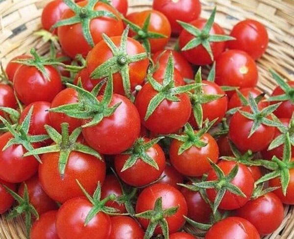 Fresh 50 Seeds Super Sweet Cherry Tomato Vegetable Planting Tomatoes Food Garden
