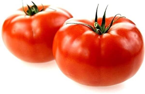 Fresh 50 Seeds Marglobe Tomato Vegetable Planting Tomatoes Garden