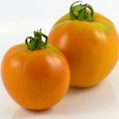 Fresh 50 Seeds Amish Gold Slicer Tomato Planting Tomatoes Food Garden