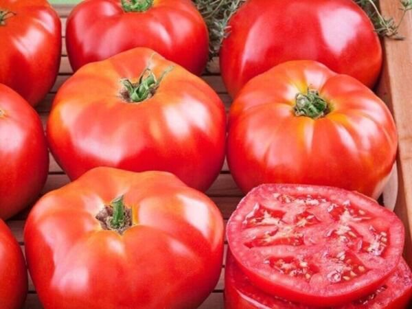 Fresh 50 Seeds Beefsteak Tomato Vegetable Planting Tomatoes Garden