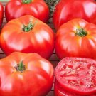 Fresh 50 Seeds Beefsteak Tomato Vegetable Planting Tomatoes Garden