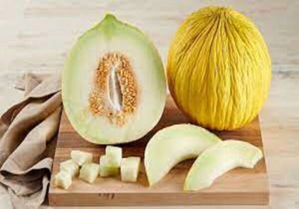 Fresh 25 Seeds Casaba Melon Planting Easy To Grow Melons Garden