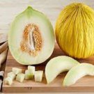 Fresh 25 Seeds Casaba Melon Planting Easy To Grow Melons Garden