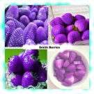 Fresh 200 Seeds Purple Strawberries Berries Fruit Planting Sweet Juicy Tasting Garden