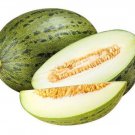 Fresh 25 Seeds Santa Cla Melons Very Sweet & Juicy Fruit Planting Farm Garden