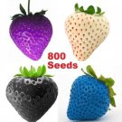 Fresh 800 Seeds Strawberries Purple Blue Black White Mixed Colored Strawberry Garden