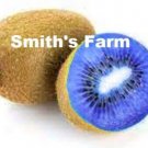 Fresh 25 Seeds Purple Kiwi Hard To Locate Sweet Juicy Fruit Planting Food Garden