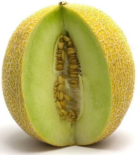Fresh 25 Seeds Galia Melon Sweet Juicy Taste Farm Planting Fruit Garden