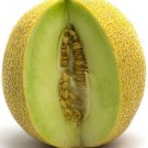 Fresh 25 Seeds Galia Melon Sweet Juicy Taste Farm Planting Fruit Garden
