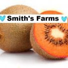 Fresh 25 Seeds Orange Kiwi Hard To Locate Sweet Juicy Fruit Planting Food Garden