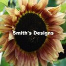 Fresh 50 Seeds Light Brown Sunflowers Huge Planting Sunflower Large Flowers Garden