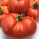 Fresh 50 Seeds Box Car Willie Tomato Planting Tomatoes Boxcar Garden