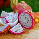 Fresh Dragon Fruit Hylocere Triangularis 50Seeds - Lcio Fruit Garden