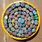 Fresh Mixed Lithops Succulent Seeds Lithops Pseudotruncatella 100 Pcs/Pack Garden
