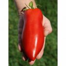 Fresh 25 Seeds Tomato Pepper Type Red Long Vegatable Food Planting Garden