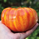 Fresh 50 Seeds Rainbow Beefsteak Tomato Organic Giant Rare Garden