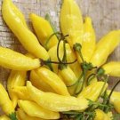 Fresh 25 Pepper Seeds Yellow Lemon Drop Garden