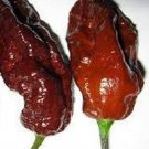 Fresh 25 Seeds Chocolate Ghost Peppers Hot Garden